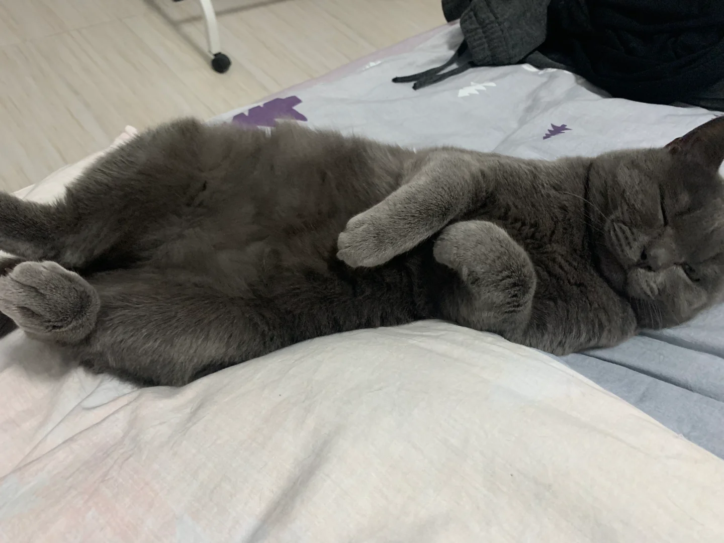 抛媚眼？卖萌？