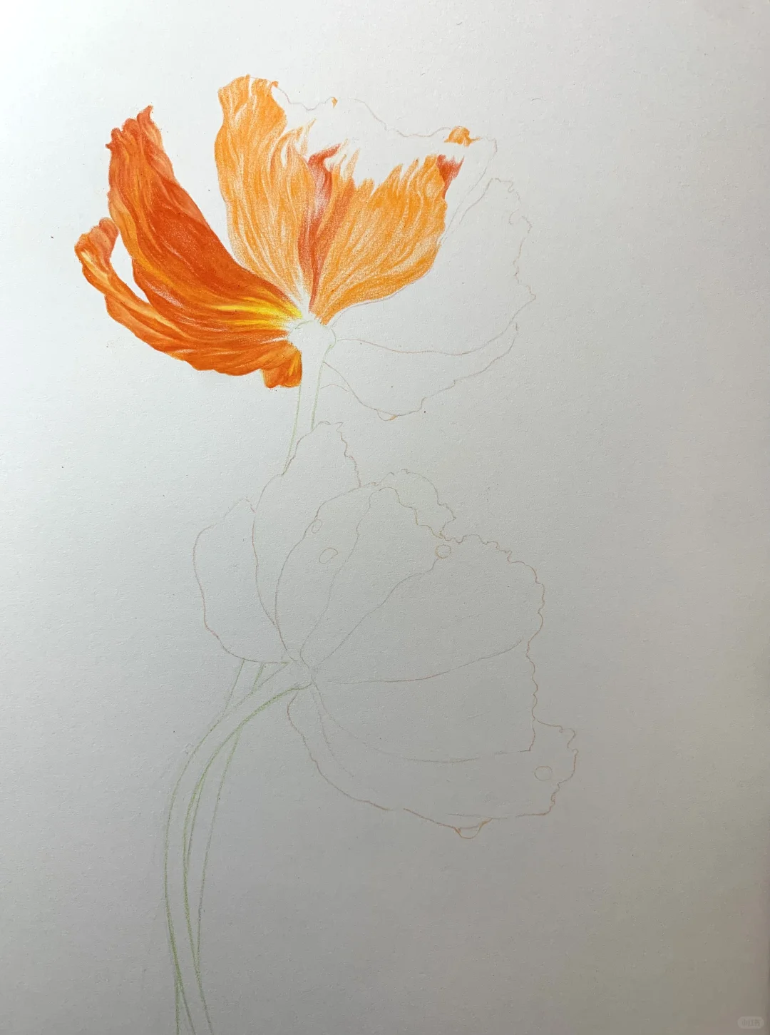 完成✅这次认真记录了画的步骤