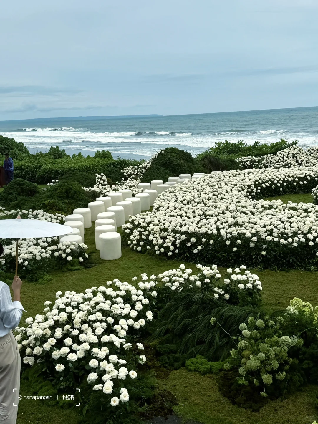 3万6千支白玫瑰绽放在巴厘岛soori的海边