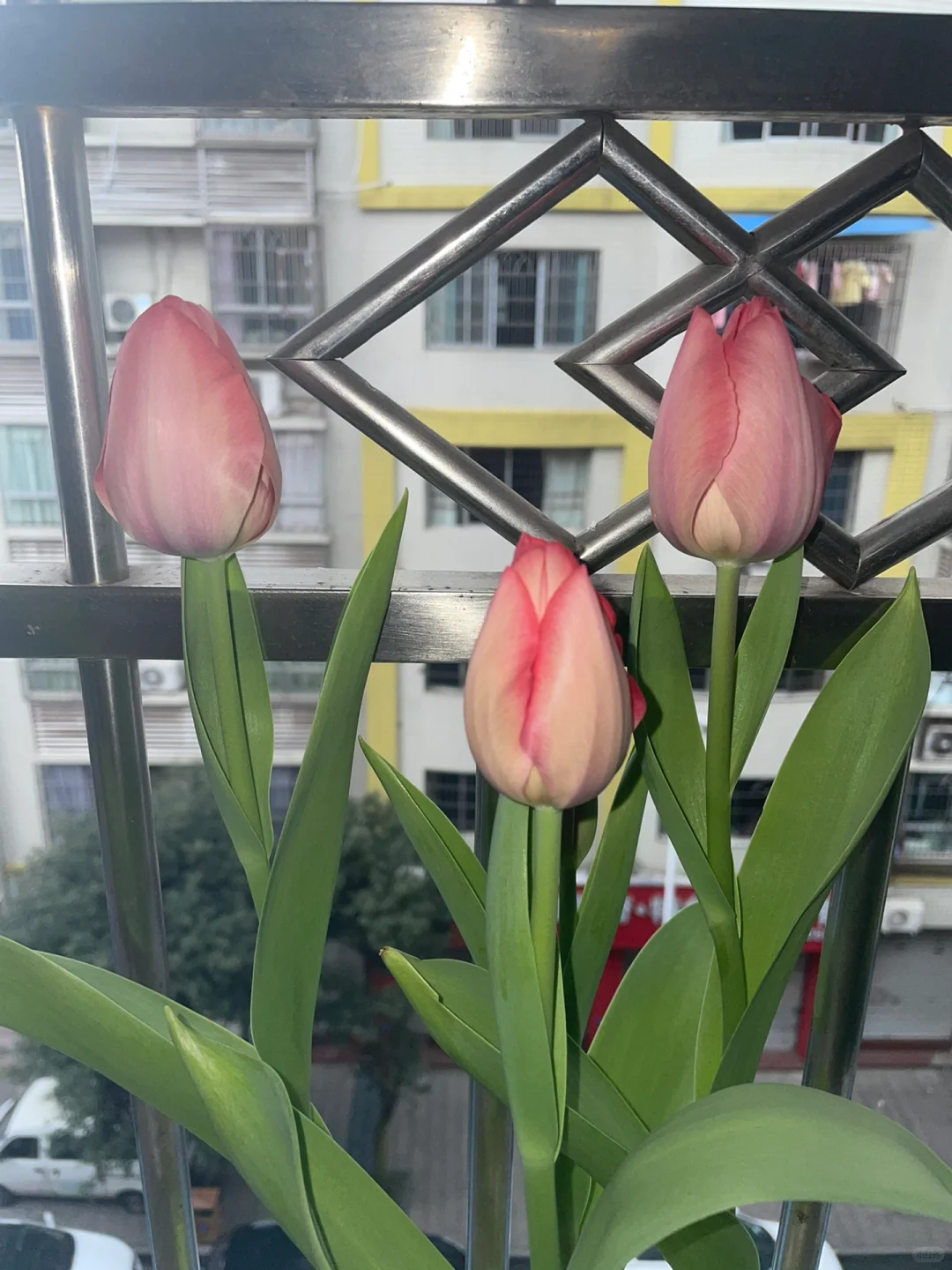 该怎么去形容你的美