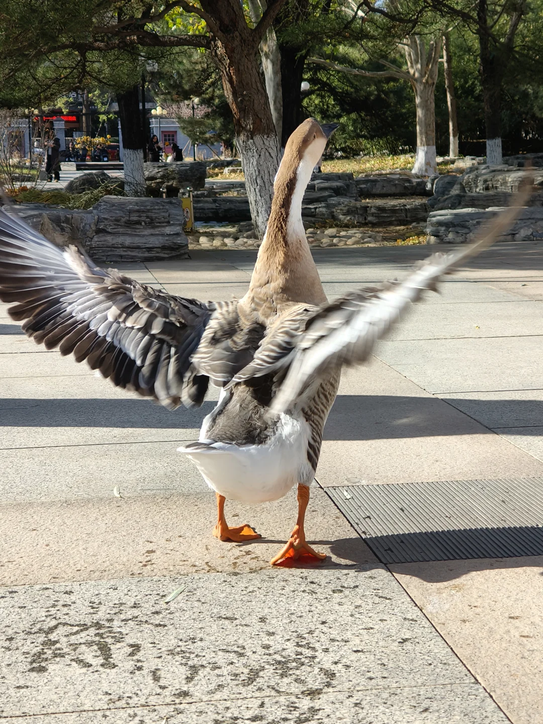 我在你深情的屁股里看见一汪湖水