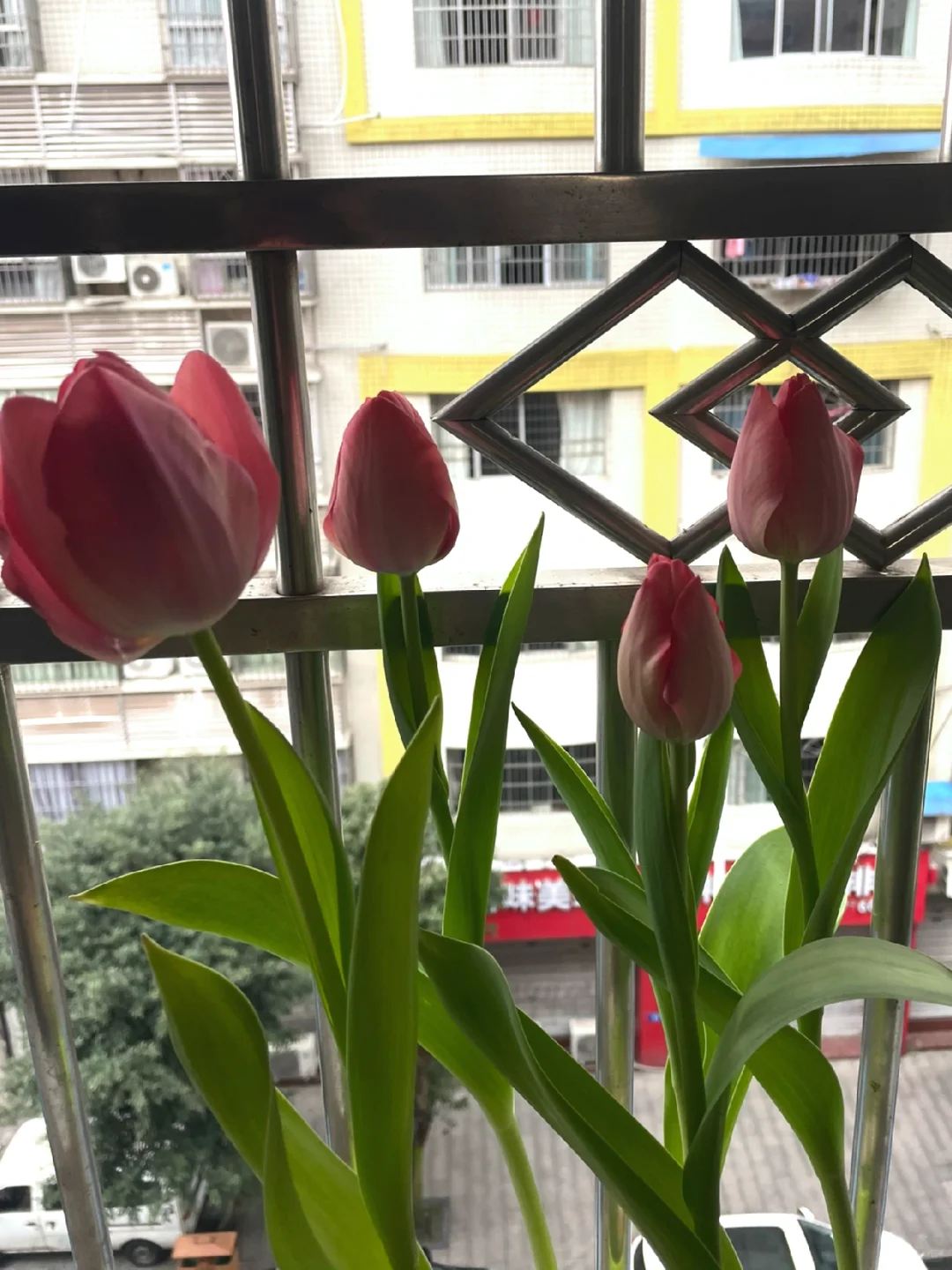 该怎么去形容你的美