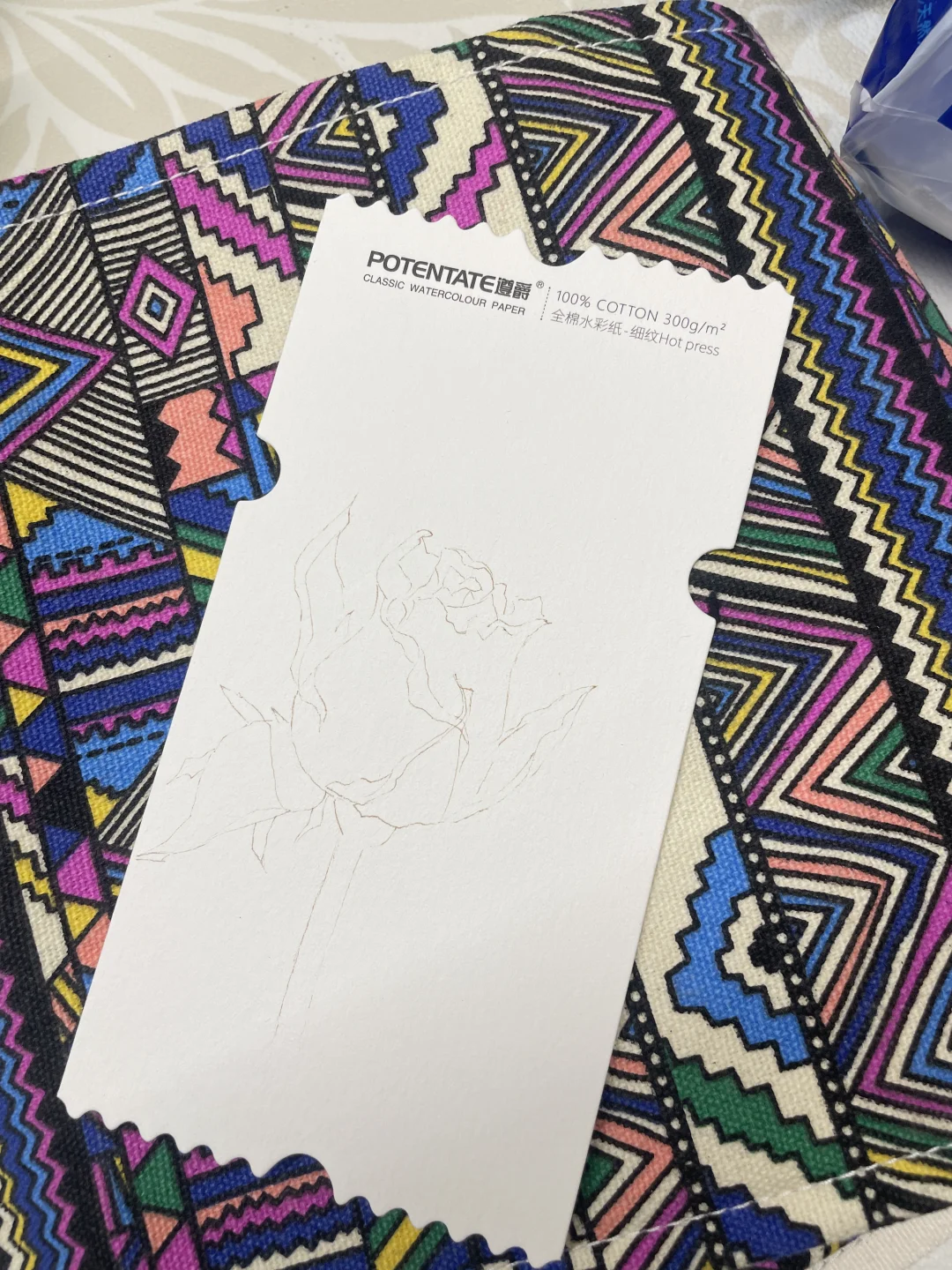 彩铅画｜娇艳欲滴的玫瑰