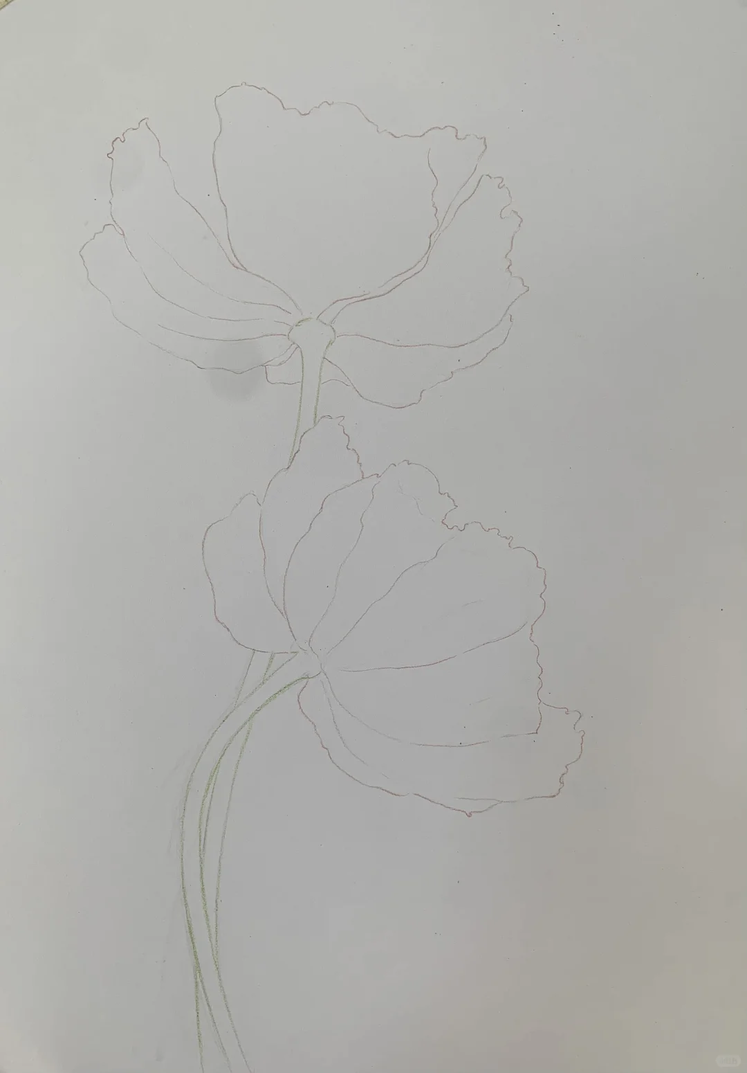 完成✅这次认真记录了画的步骤