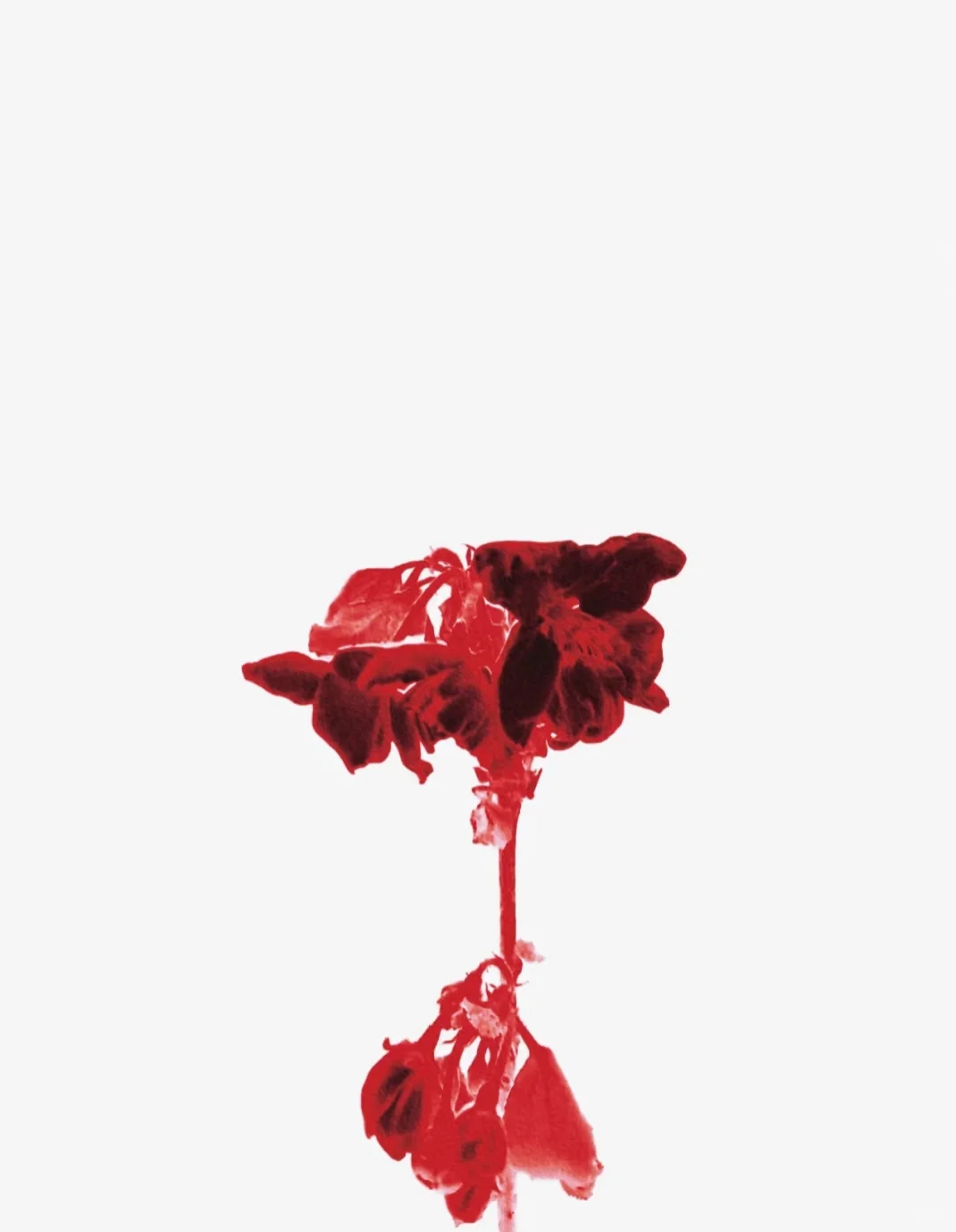 【bg】这餍足顽劣得香艳