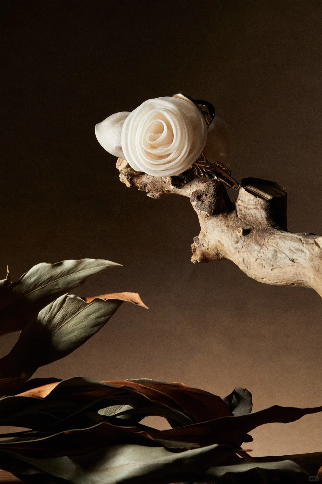 珠宝拍摄｜🥀风干娇艳 淬炼风骨