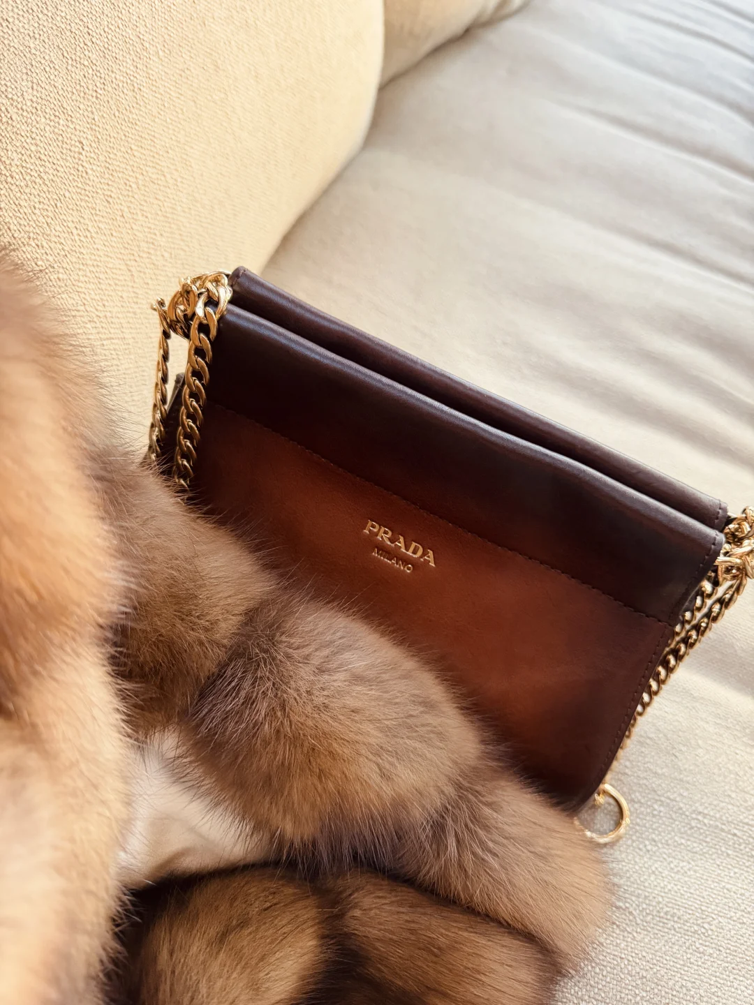 LA的冬天不太冷～