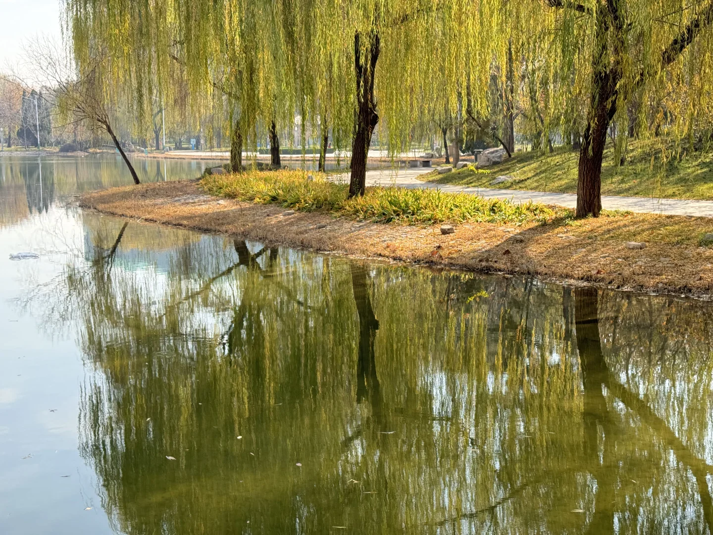 172/140斤大码女孩👧🏻