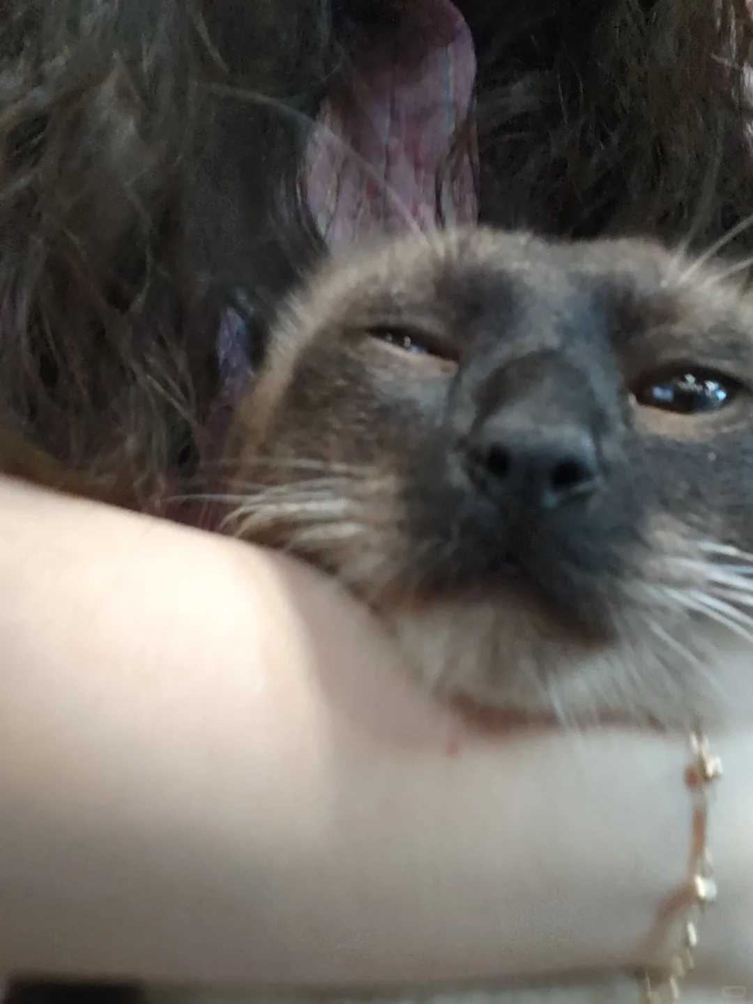 😍😍😍😍😍😍