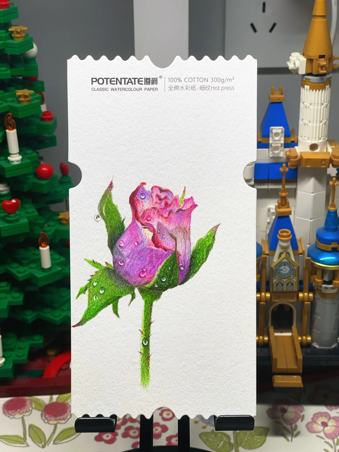 彩铅画｜娇艳欲滴的玫瑰