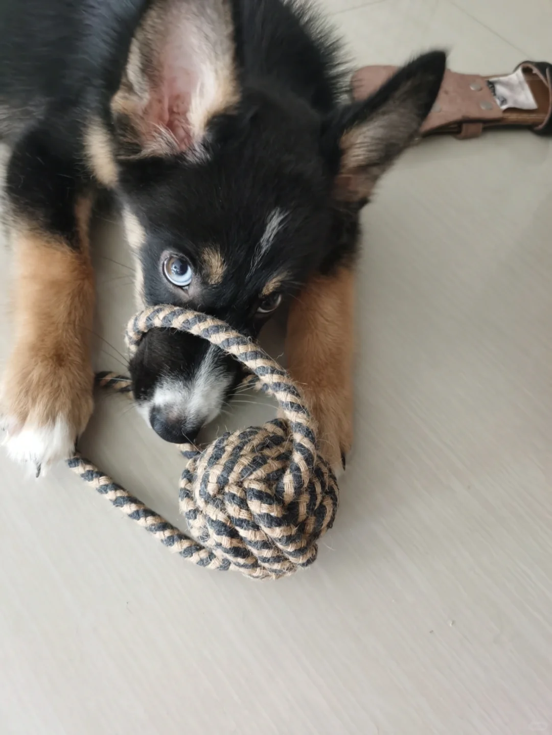 一眼就可以俘获你的心