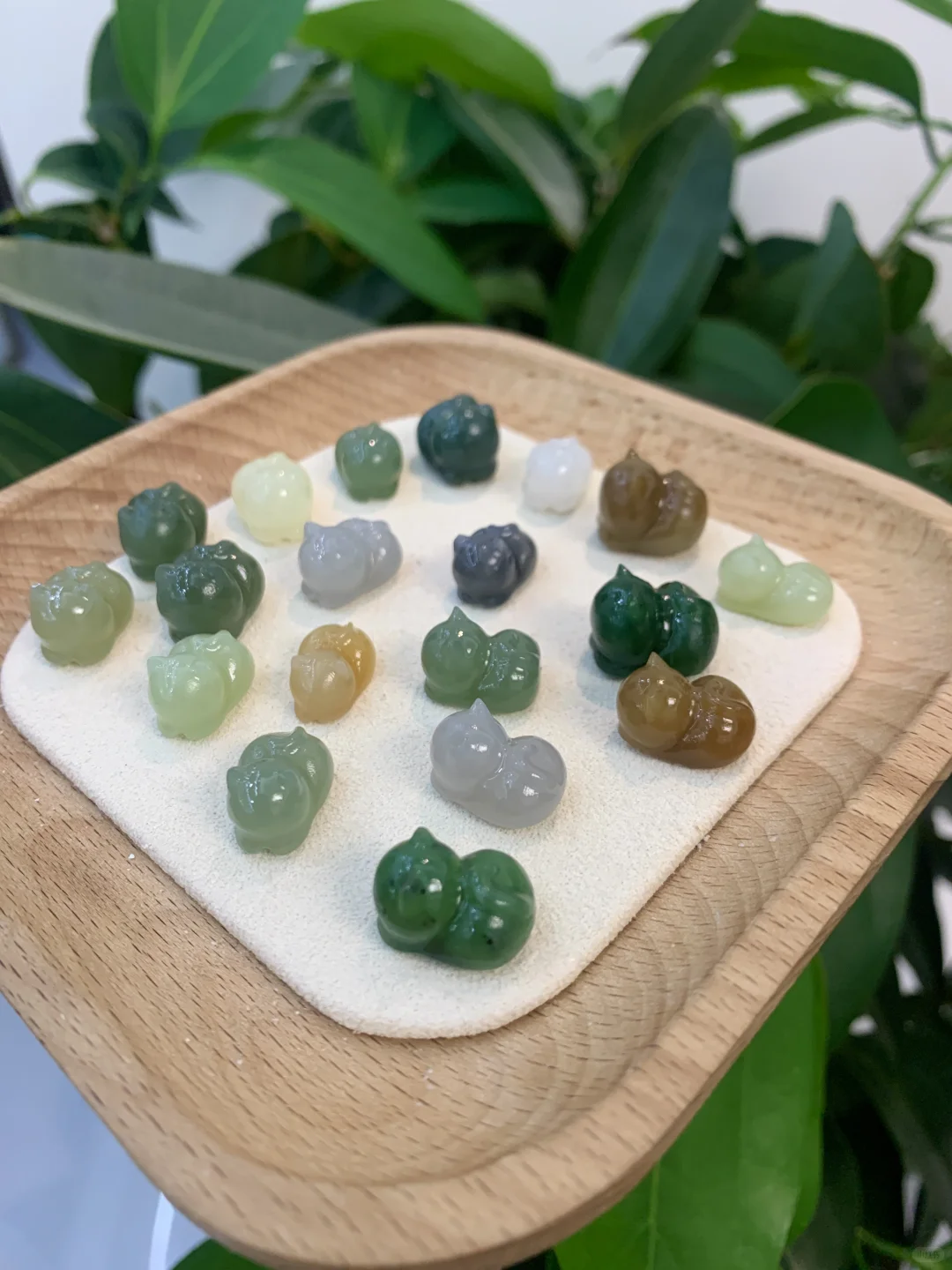 一波可爱的趴趴猫们来袭～