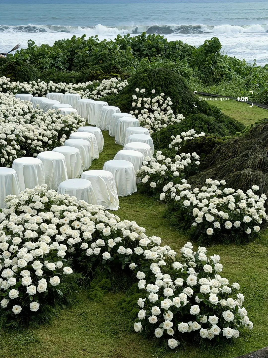 3万6千支白玫瑰绽放在巴厘岛soori的海边