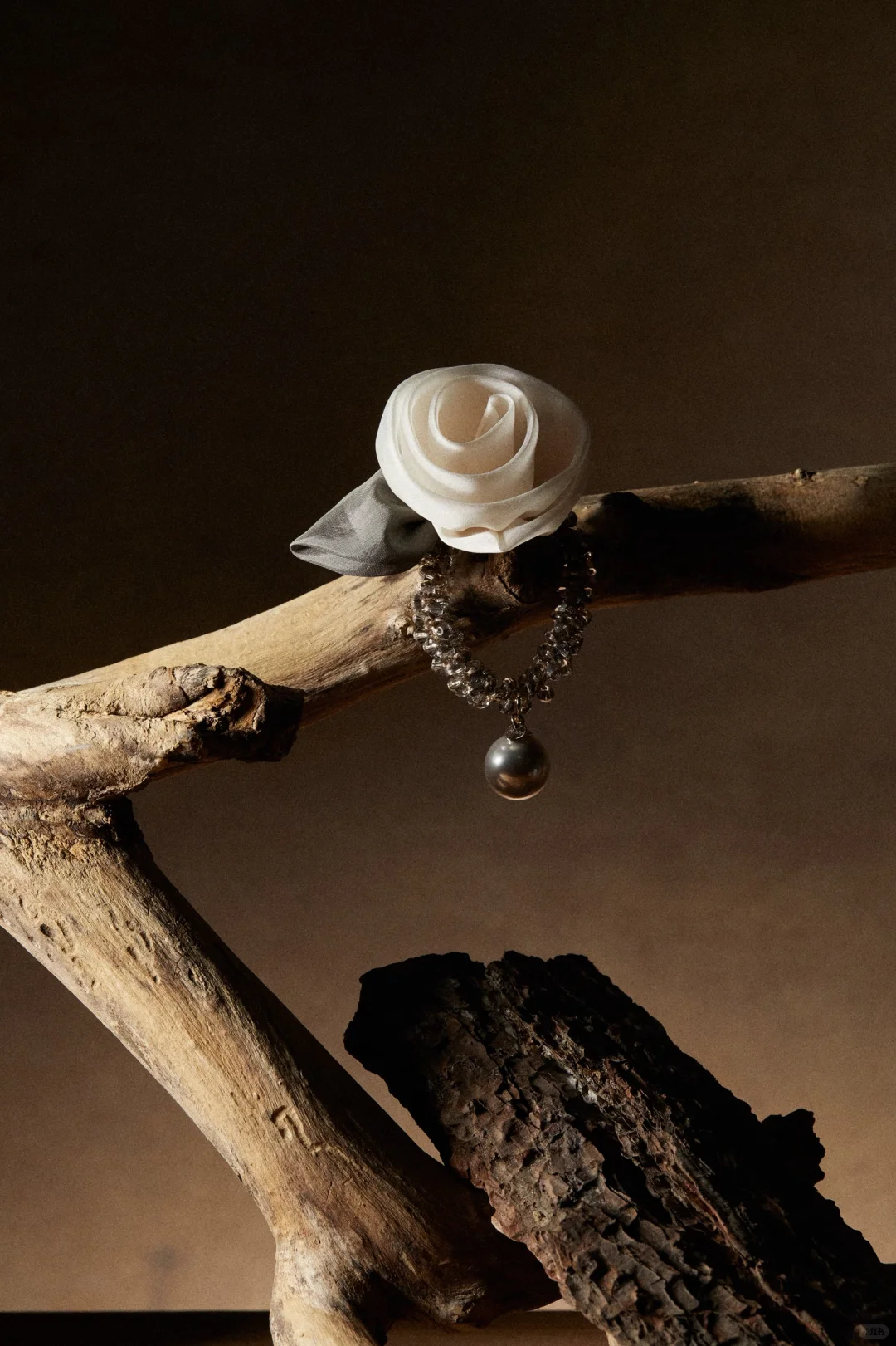 珠宝拍摄｜🥀风干娇艳 淬炼风骨