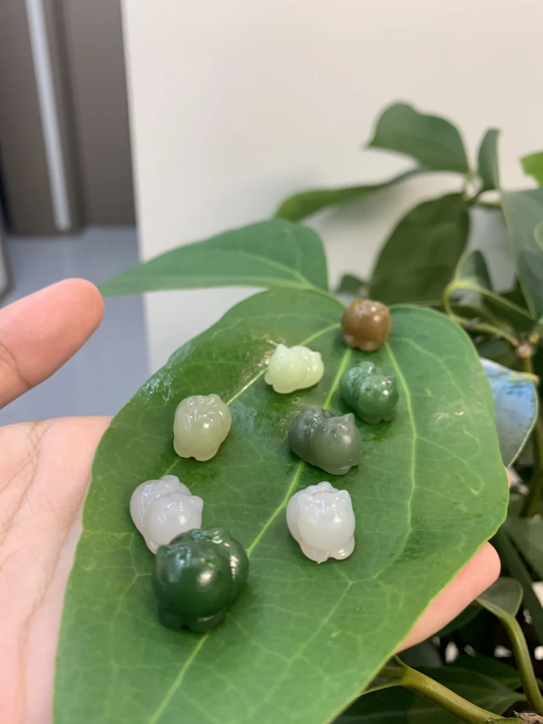 一波可爱的趴趴猫们来袭～