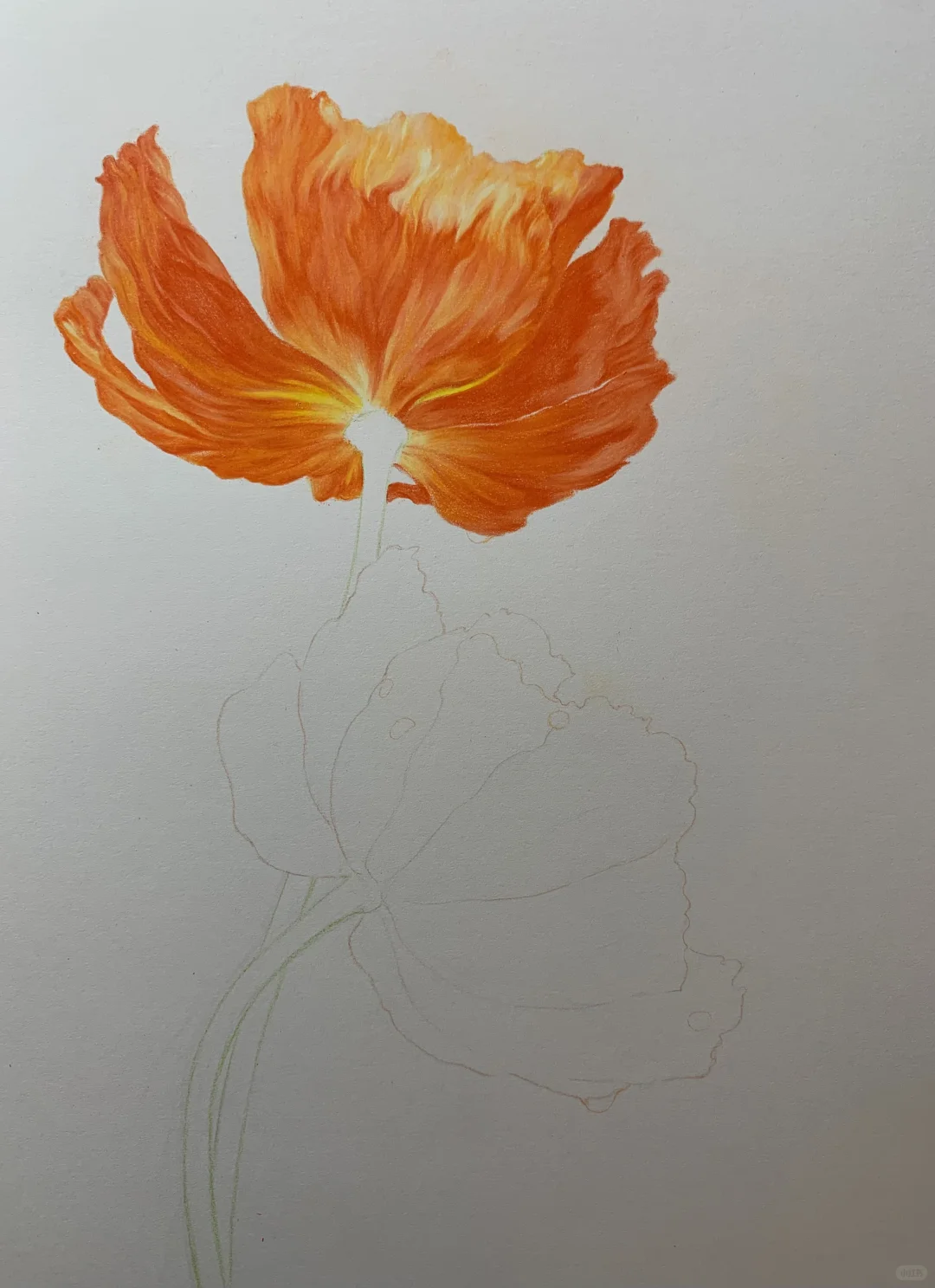 完成✅这次认真记录了画的步骤