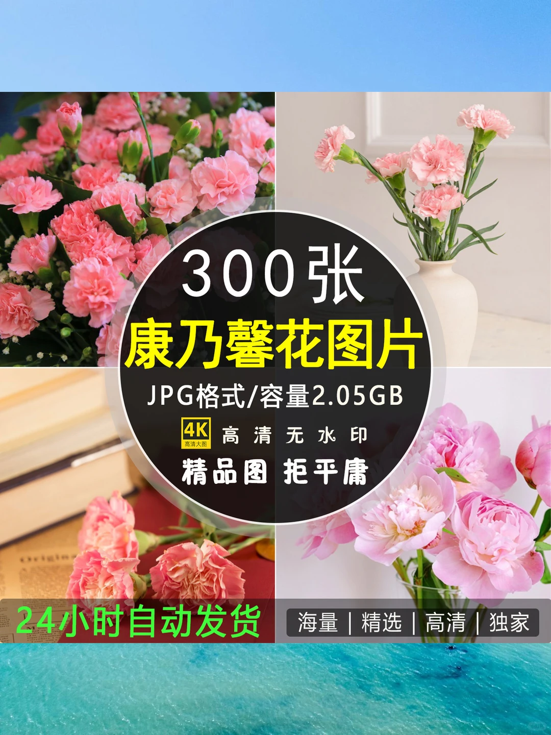 4K高清康乃馨图片母亲节摄影PS素材图库