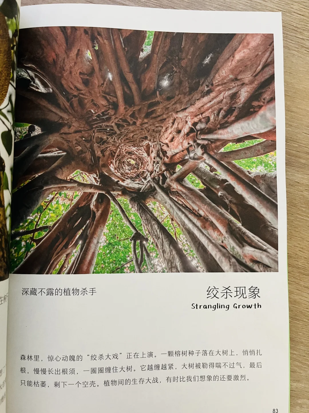 等了一年😭热销60万的小自然终于出续集了