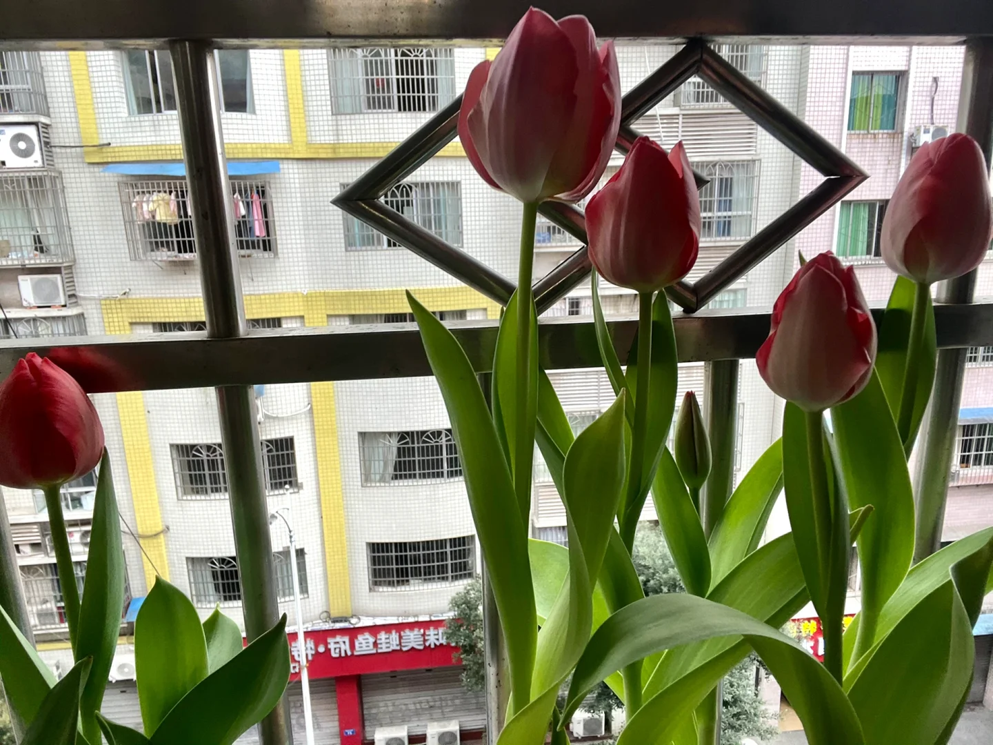 该怎么去形容你的美