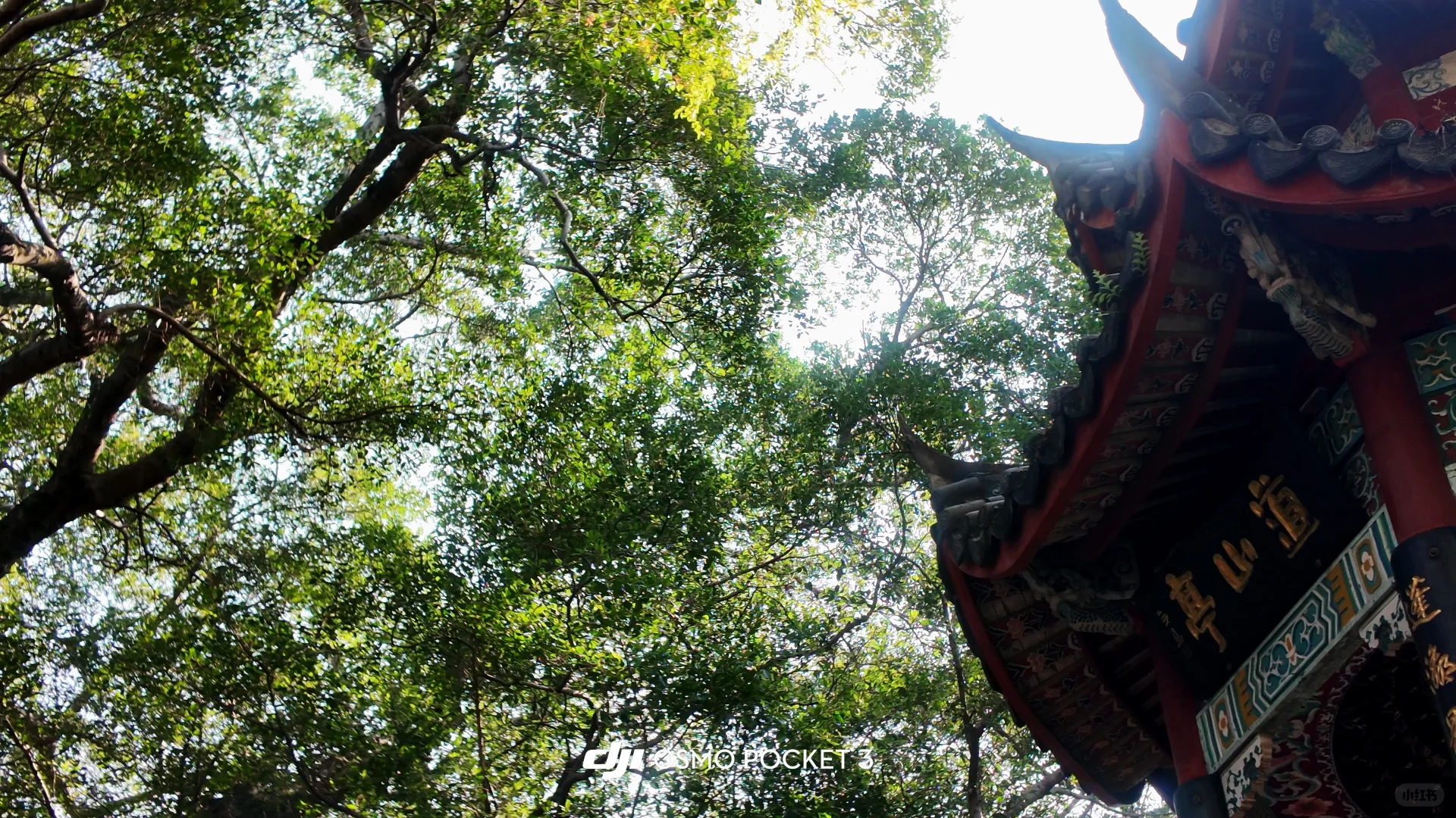 大疆pocket3📹拍出清透富士感🫧！（附参数♡.