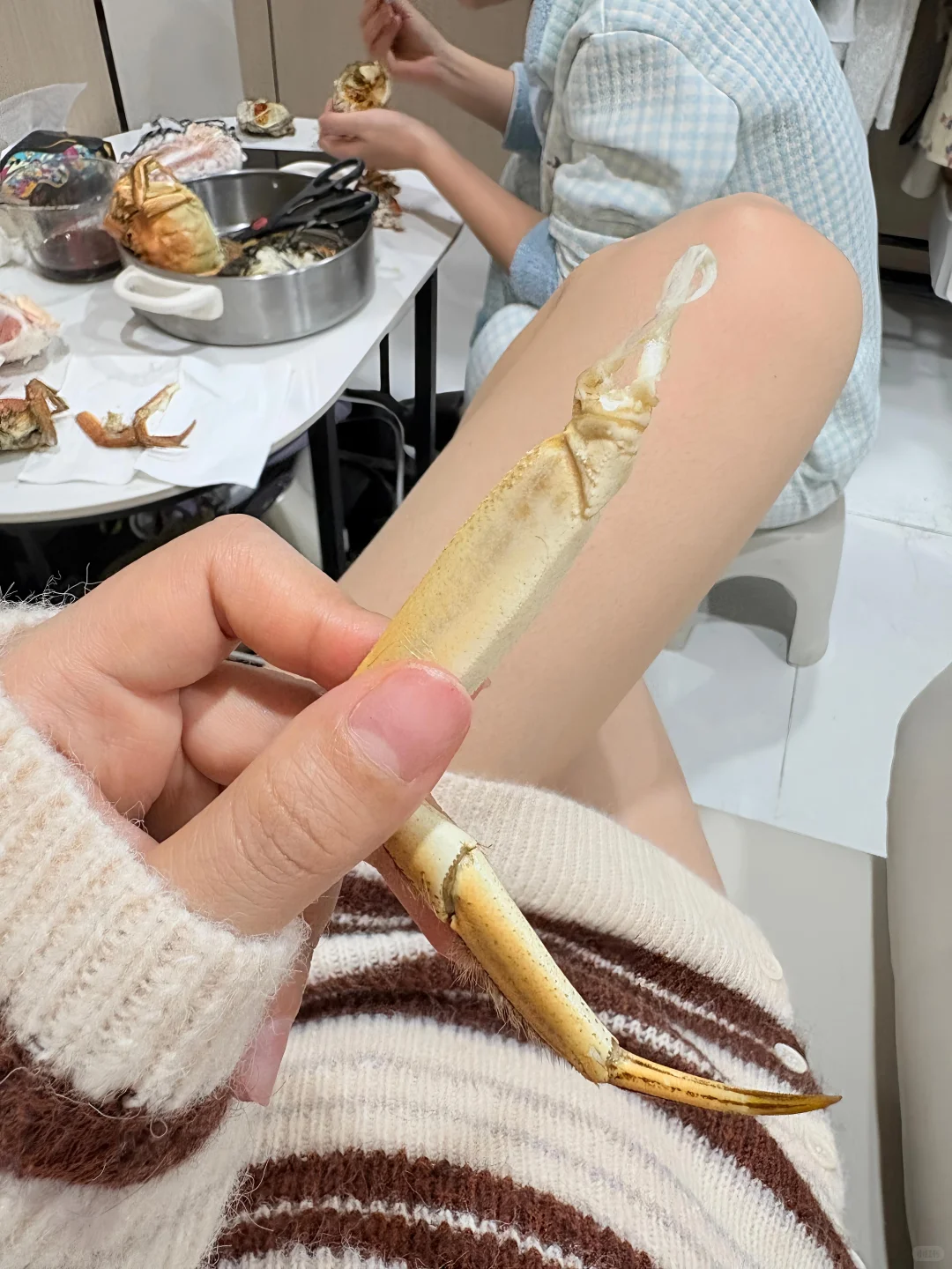 金秋蟹宴，一口鲜香入魂 🍽️🦀