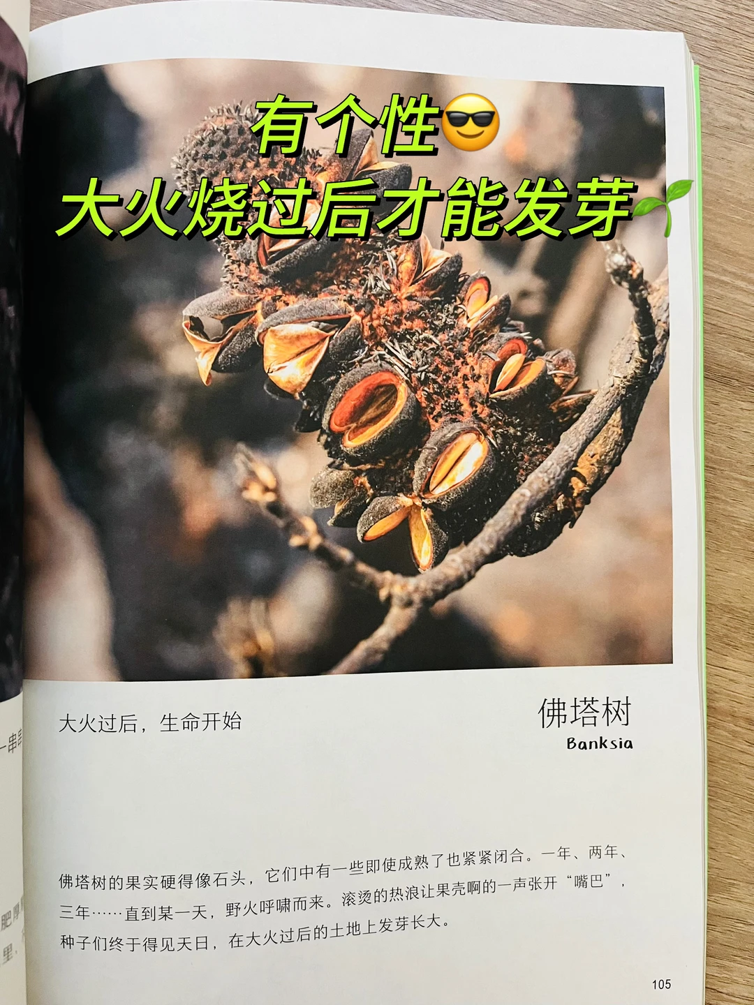 等了一年😭热销60万的小自然终于出续集了