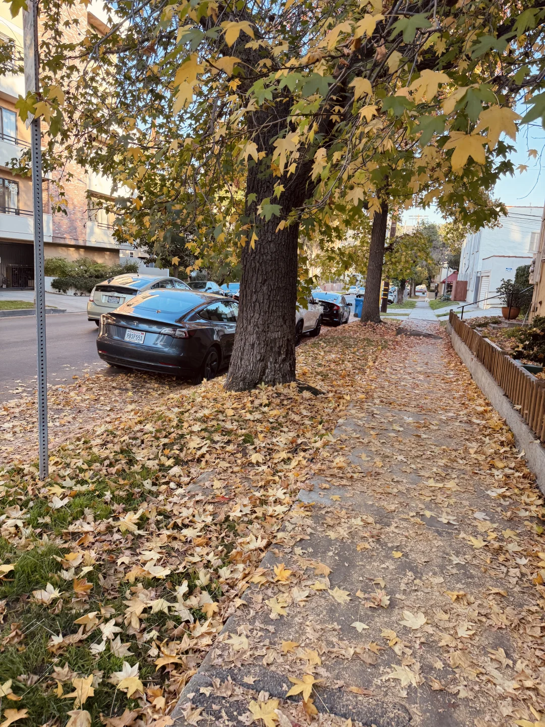 LA的冬天不太冷～