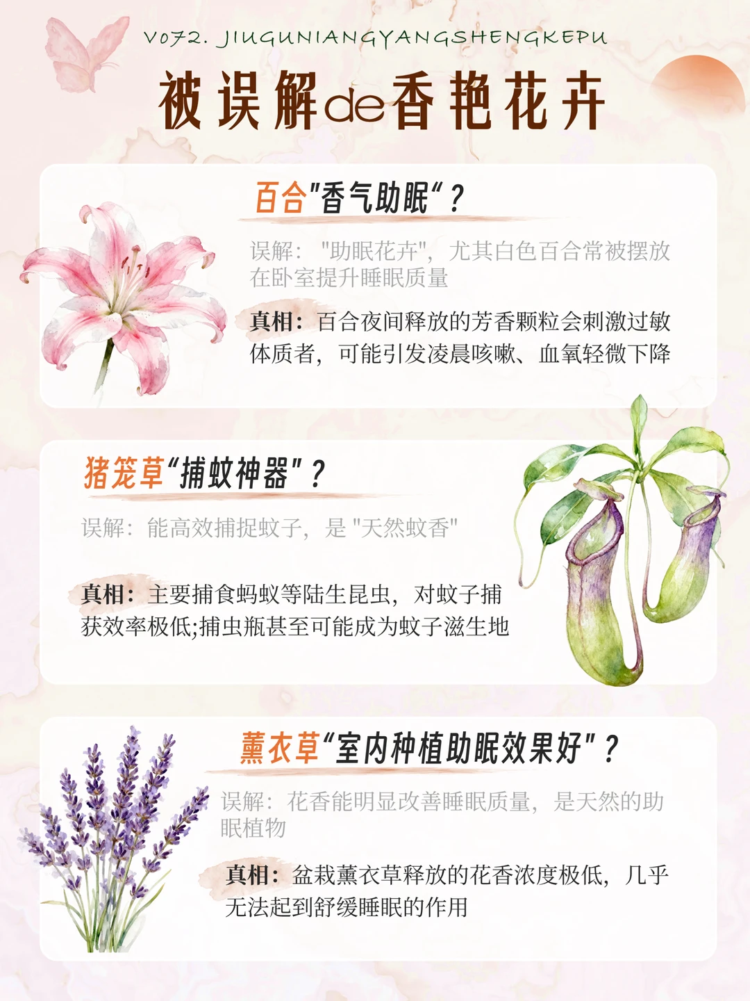 被误解的花｜16种被误解的香艳奇花