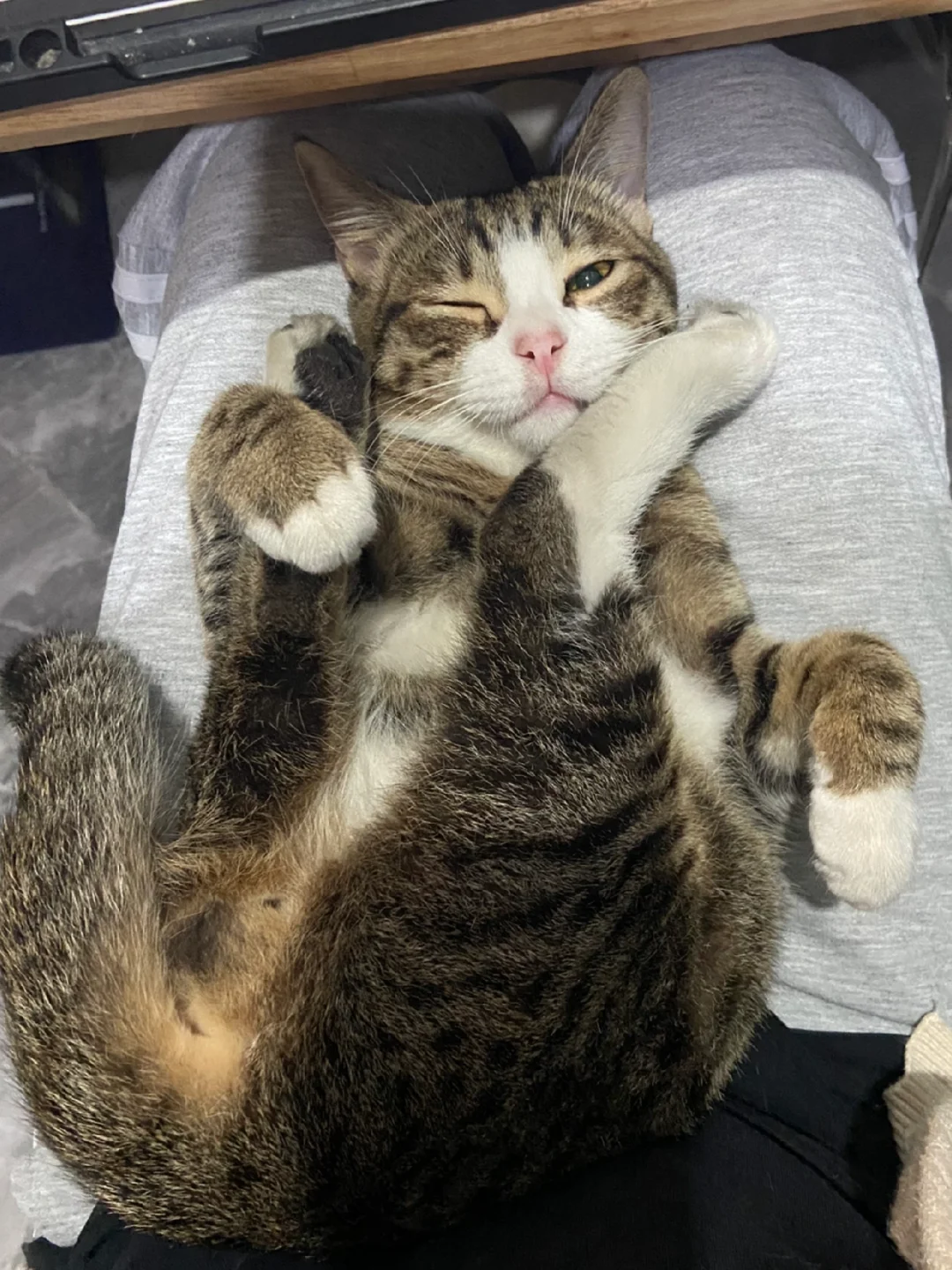 谁又在偷偷抛媚眼