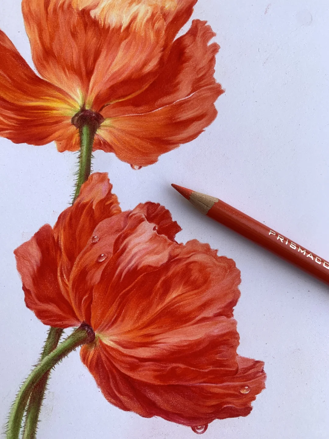 完成✅这次认真记录了画的步骤