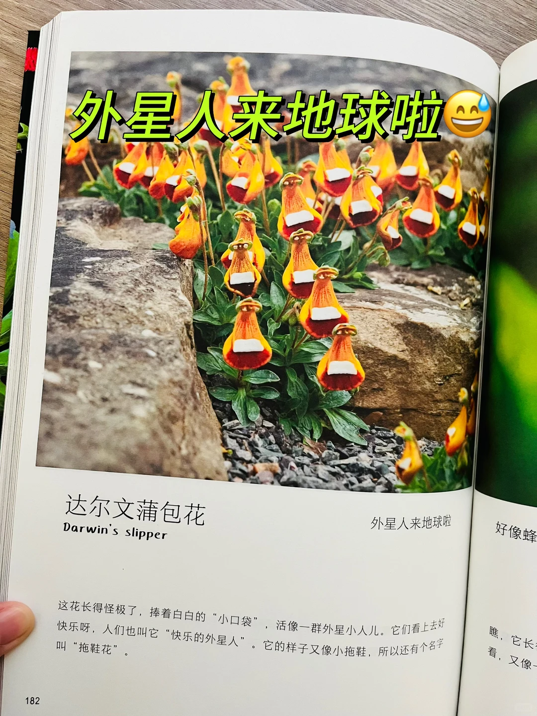 等了一年😭热销60万的小自然终于出续集了