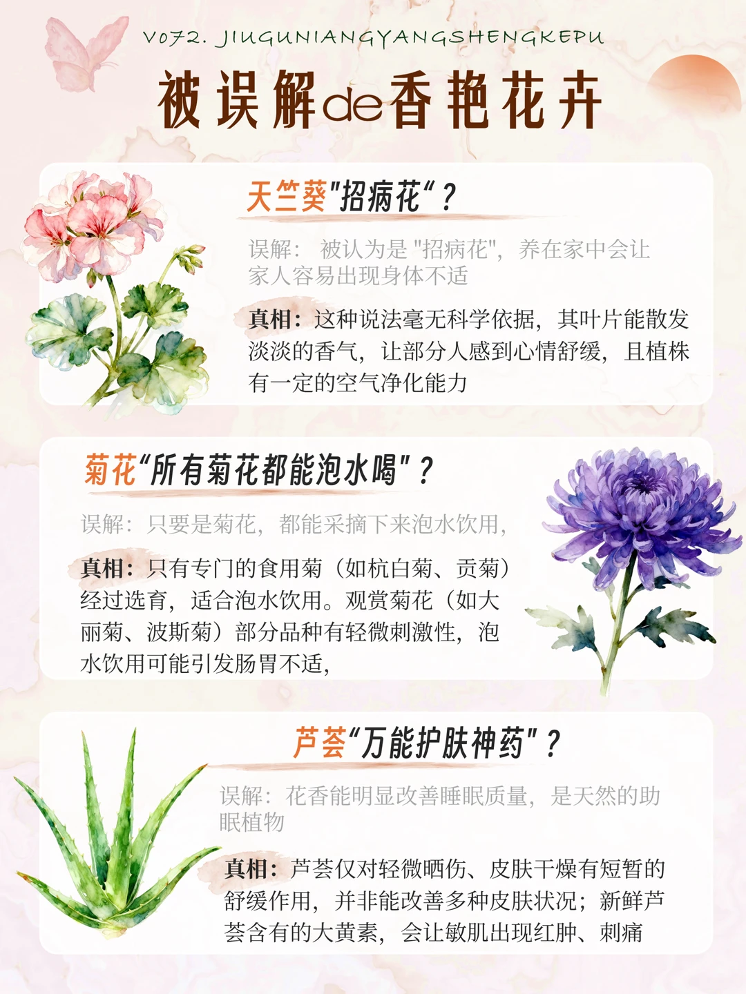 被误解的花｜16种被误解的香艳奇花