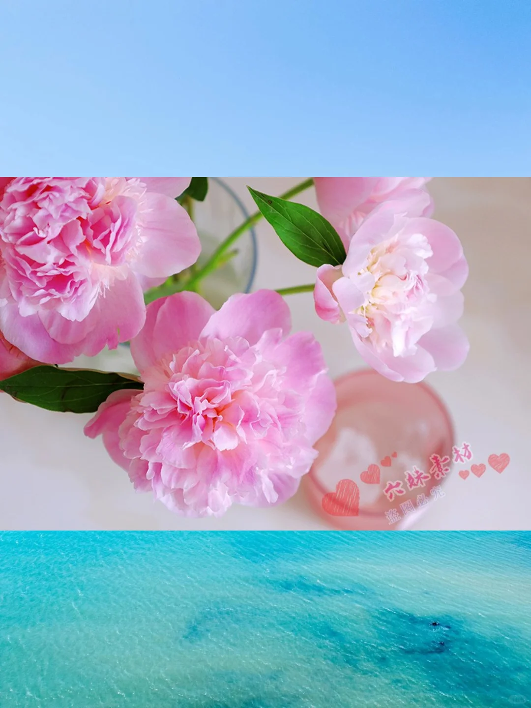 4K高清康乃馨图片母亲节摄影PS素材图库