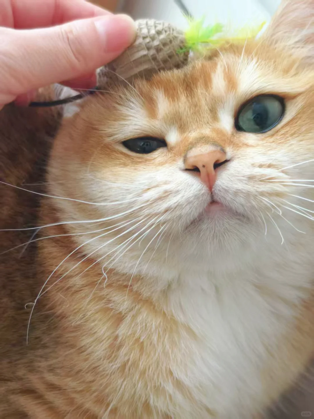 人 请收下咪的媚眼