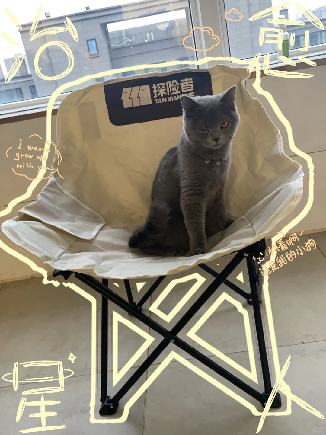 抛媚眼( • ̀ω•́ )✧