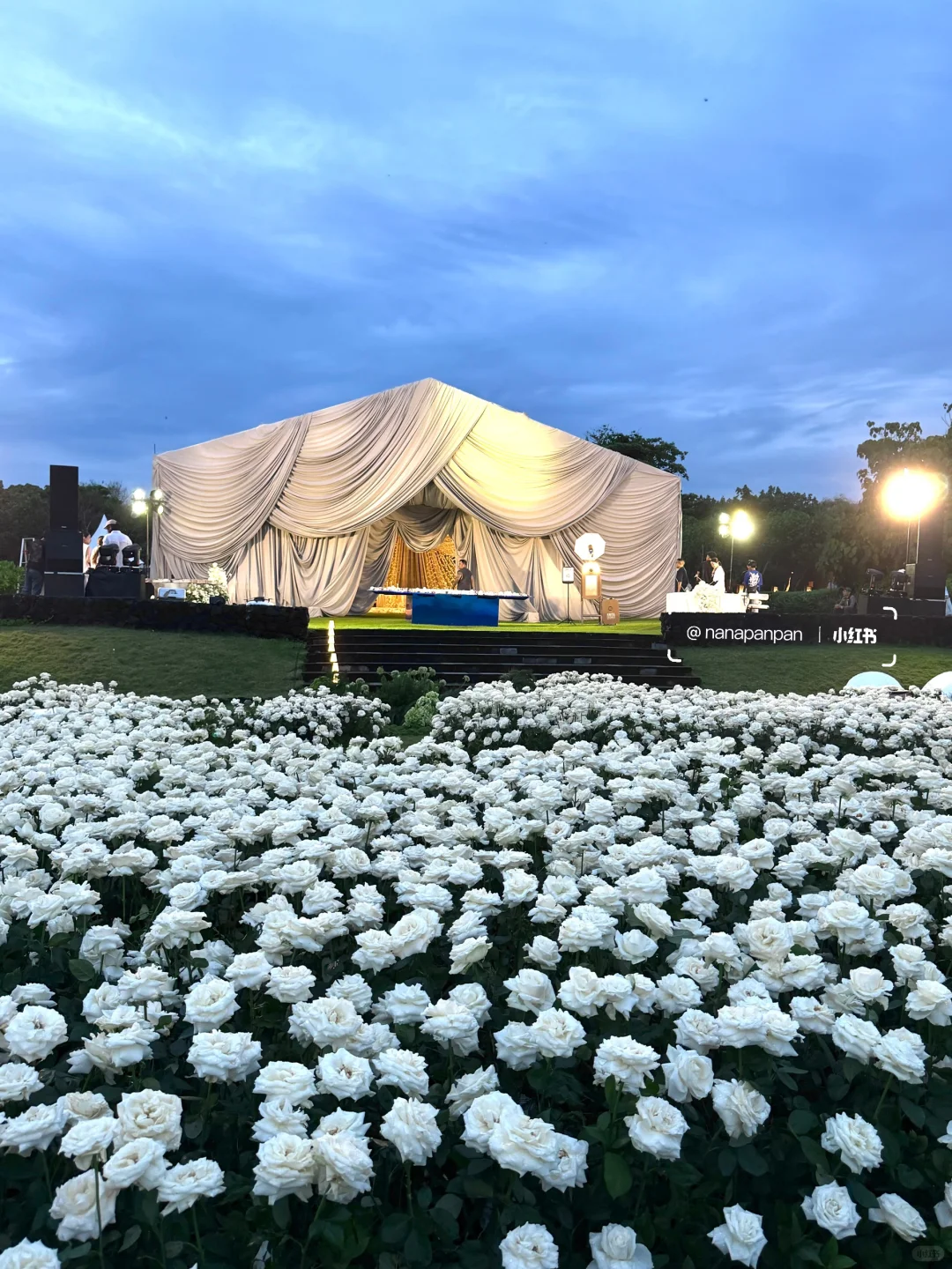 3万6千支白玫瑰绽放在巴厘岛soori的海边