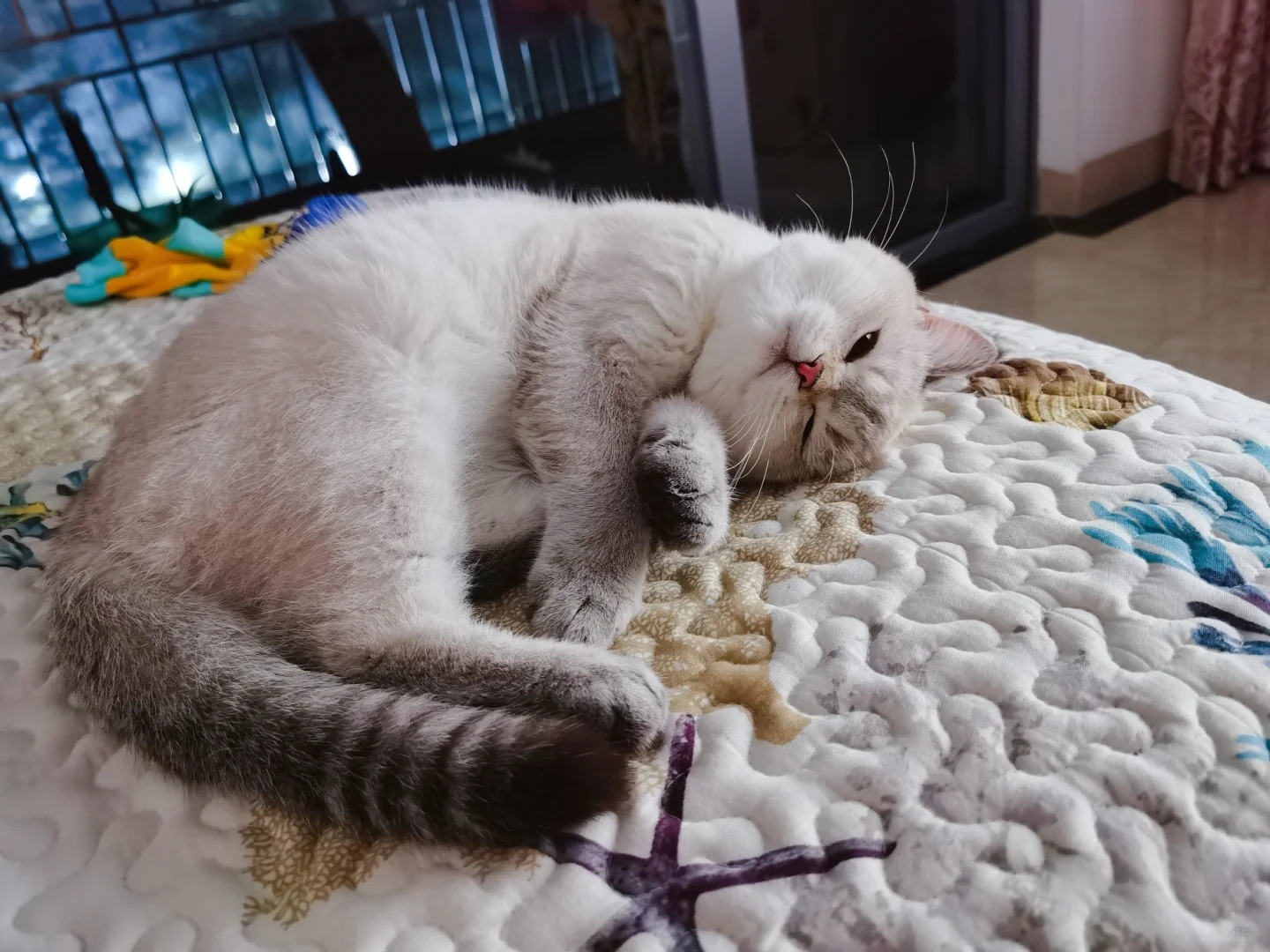 你的小可爱向你抛了个媚眼