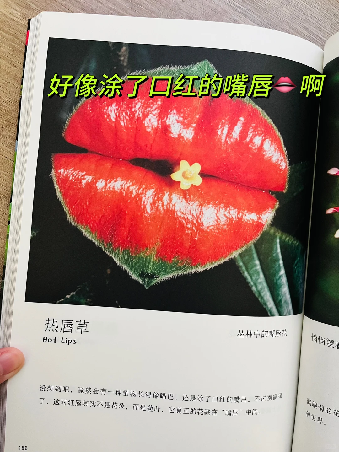 等了一年😭热销60万的小自然终于出续集了