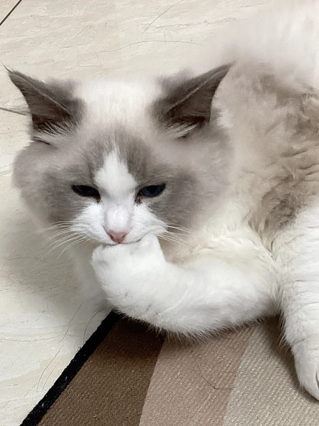 这个眼睛真的美到我了