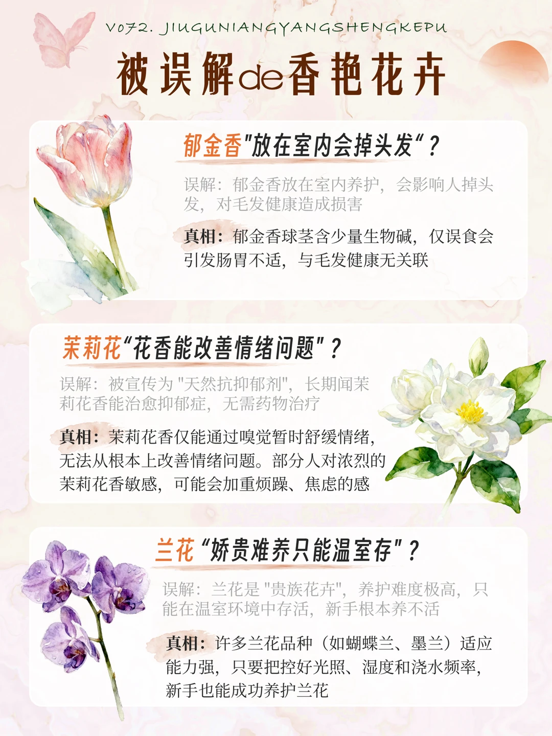 被误解的花｜16种被误解的香艳奇花