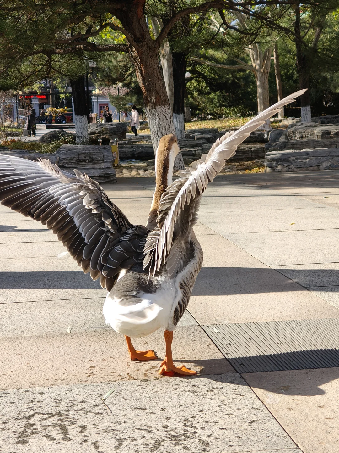 我在你深情的屁股里看见一汪湖水