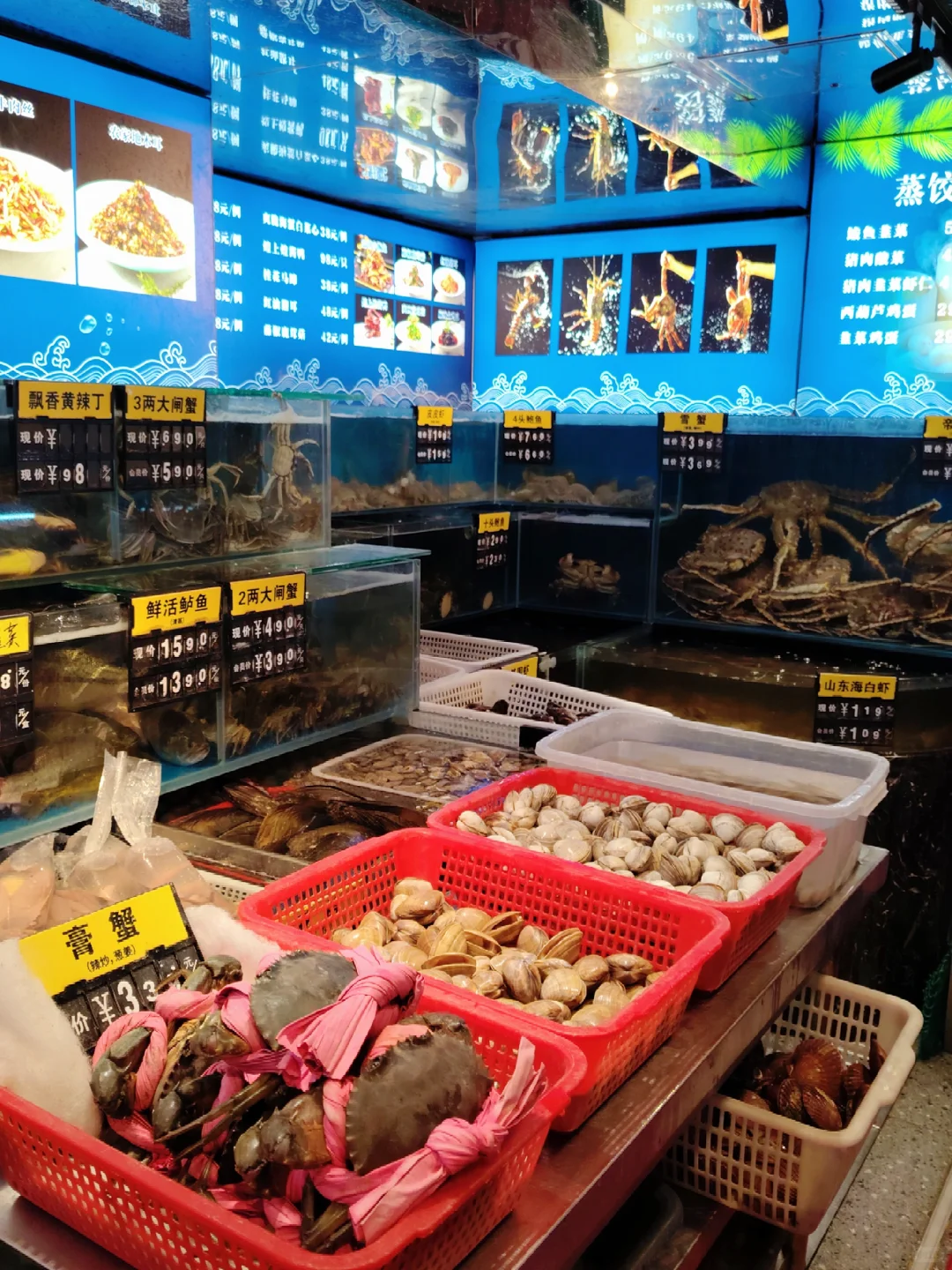 天啦噜被京渔纪的蒸汽海鲜一口鲜到灵魂出窍