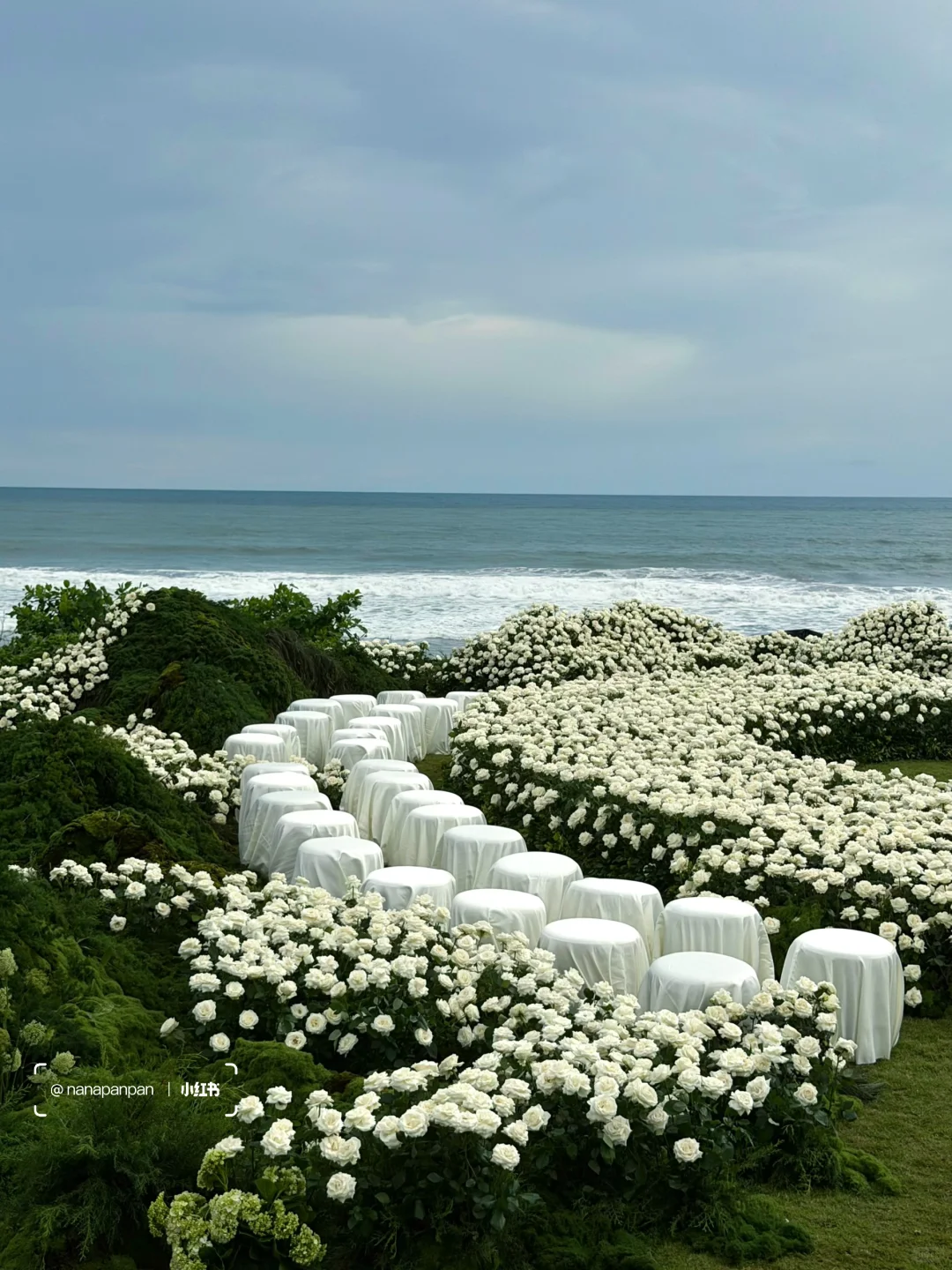 3万6千支白玫瑰绽放在巴厘岛soori的海边
