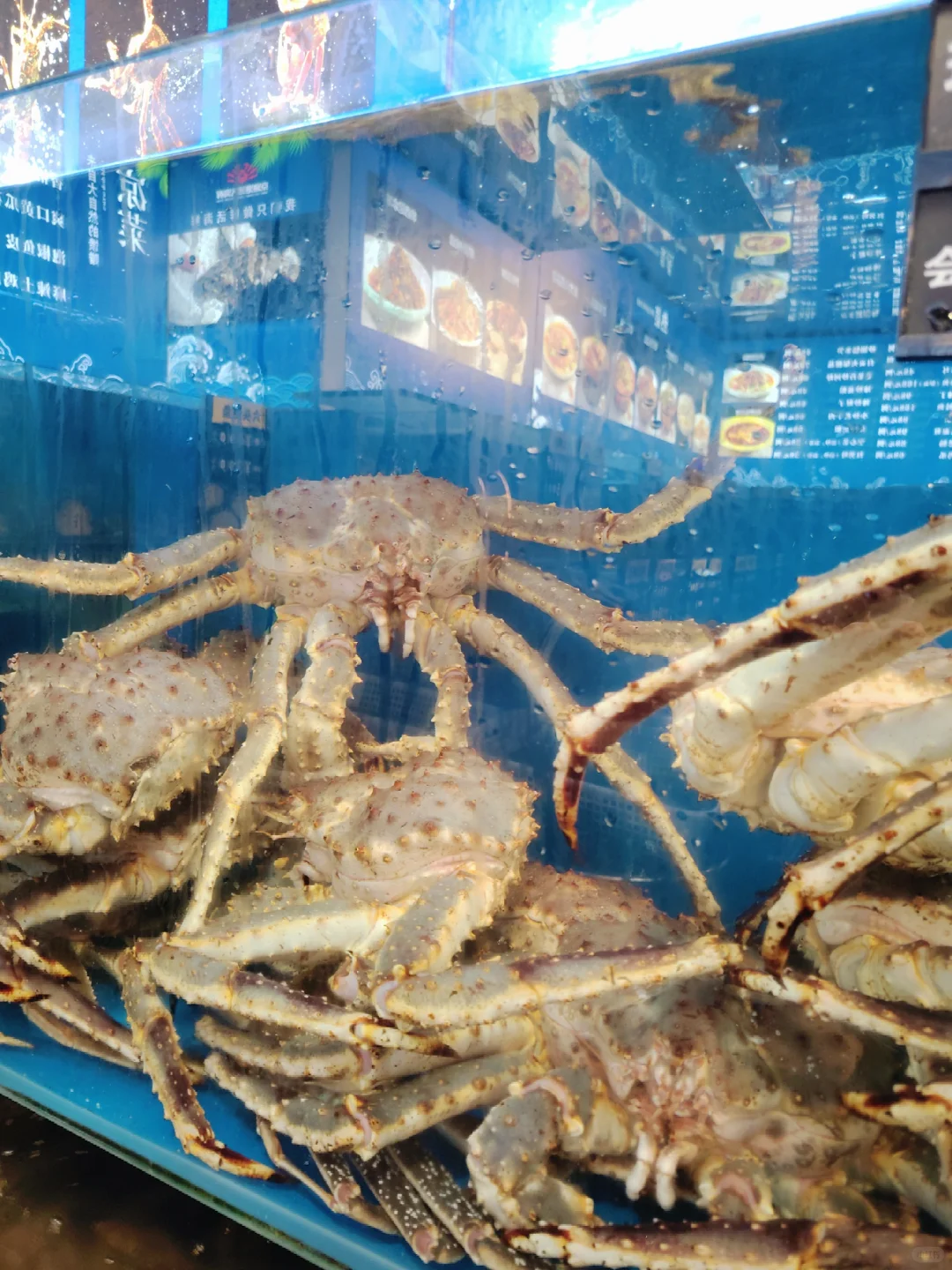 天啦噜被京渔纪的蒸汽海鲜一口鲜到灵魂出窍