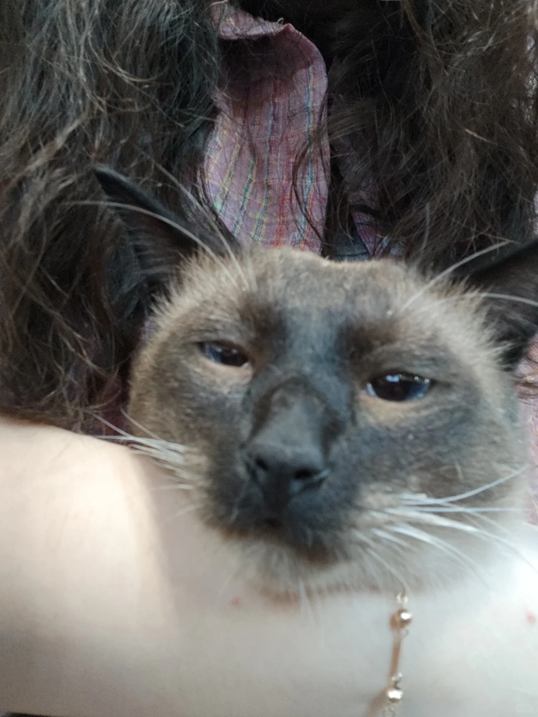 😍😍😍😍😍😍