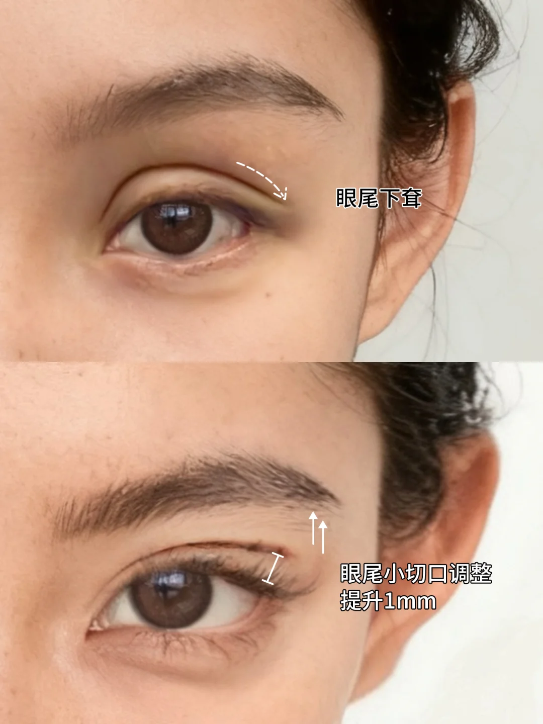 狐系眼名不虚传🦊