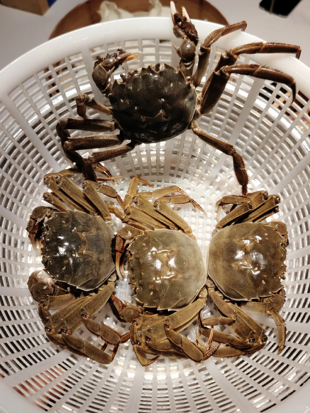 天啦噜被京渔纪的蒸汽海鲜一口鲜到灵魂出窍