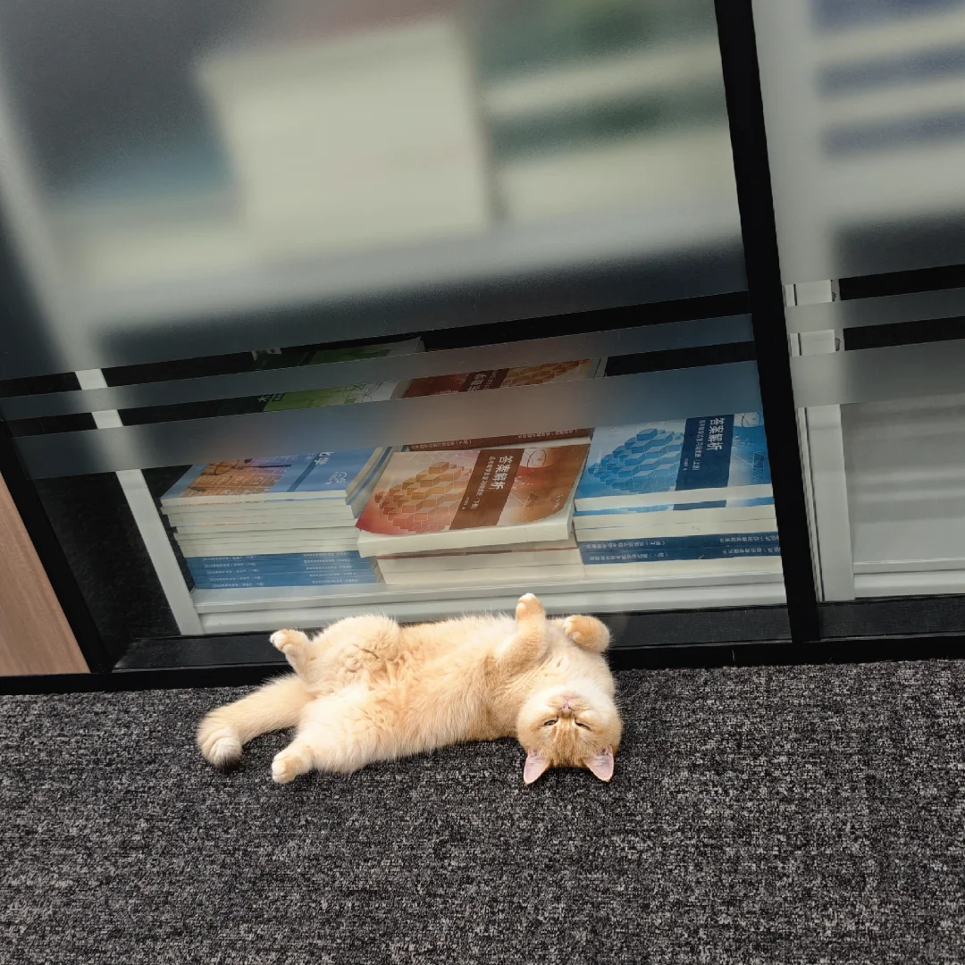 黄胖子抛媚眼！！