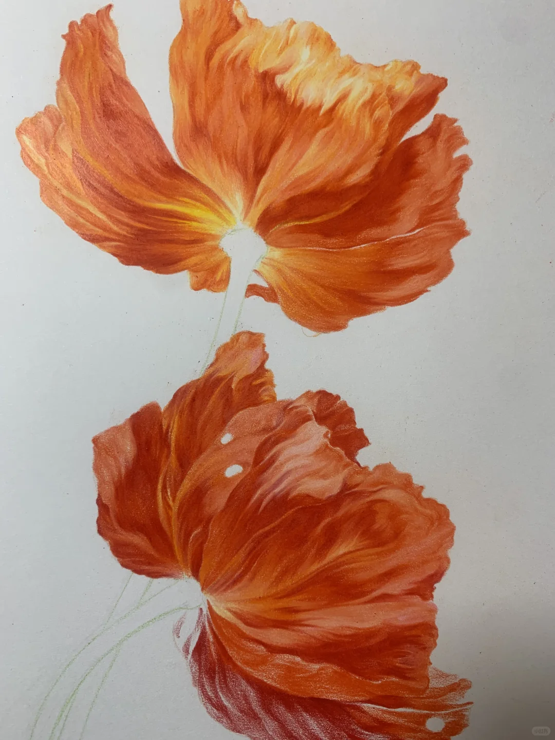 完成✅这次认真记录了画的步骤