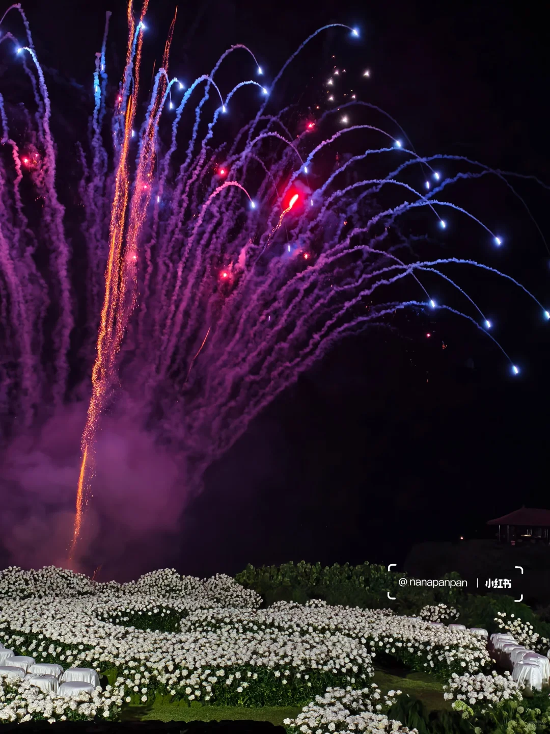 3万6千支白玫瑰绽放在巴厘岛soori的海边